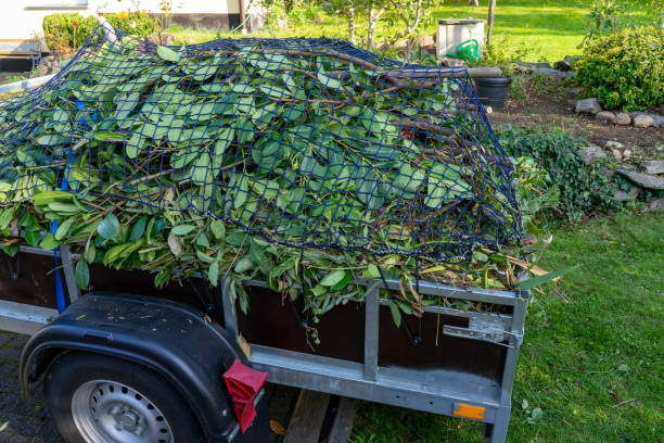 Professional Junk Removal Services in West Livingston, TX